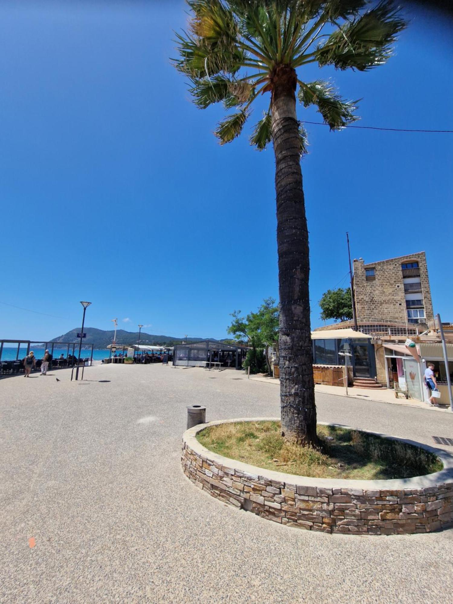 Apartment Les Sablettes Front De Tour Fernand Pouillon Provence